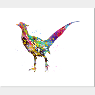 Pheasant Posters and Art